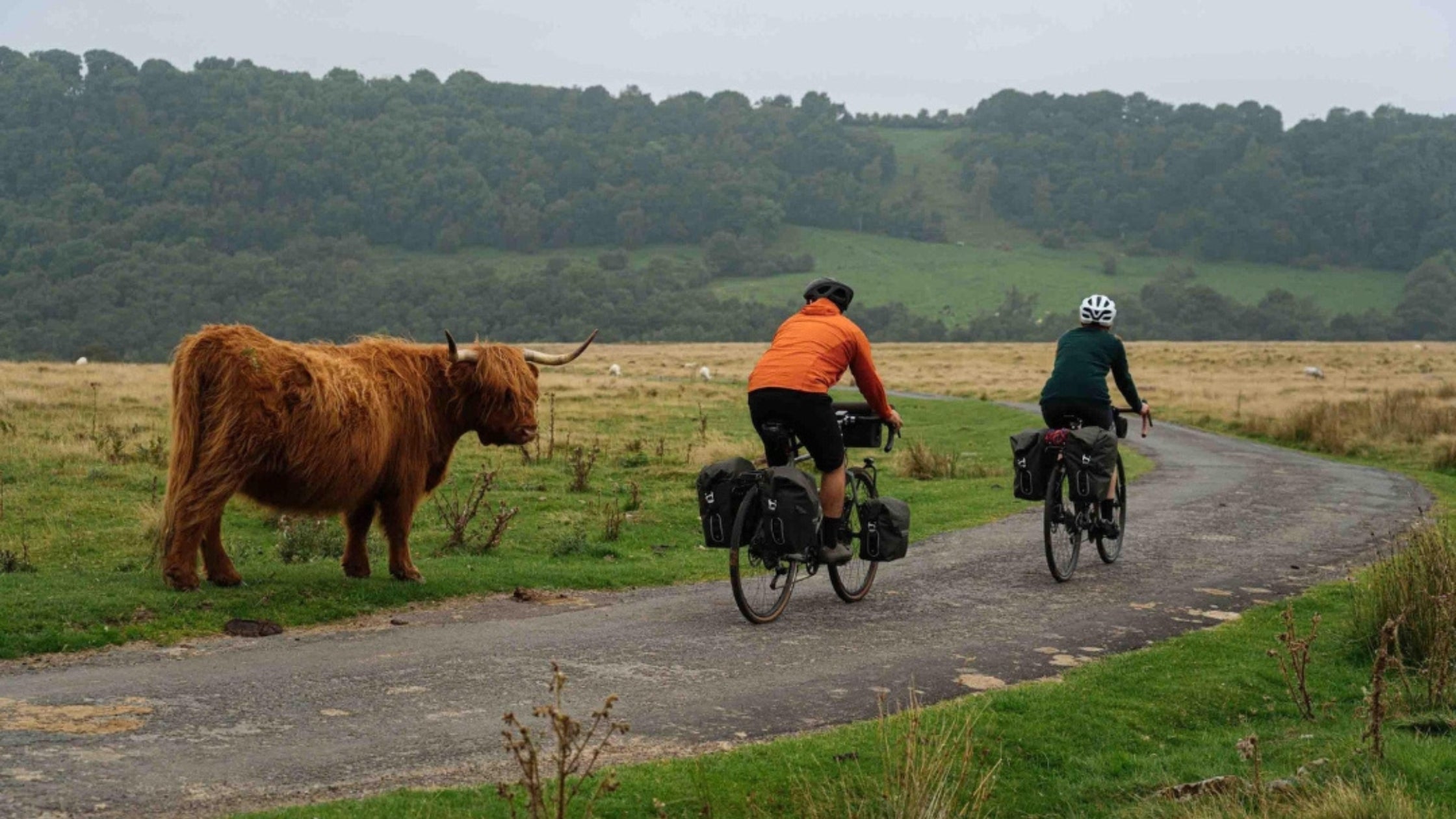 Touring Bikes & Gear