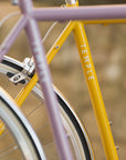 Classic Singlespeed