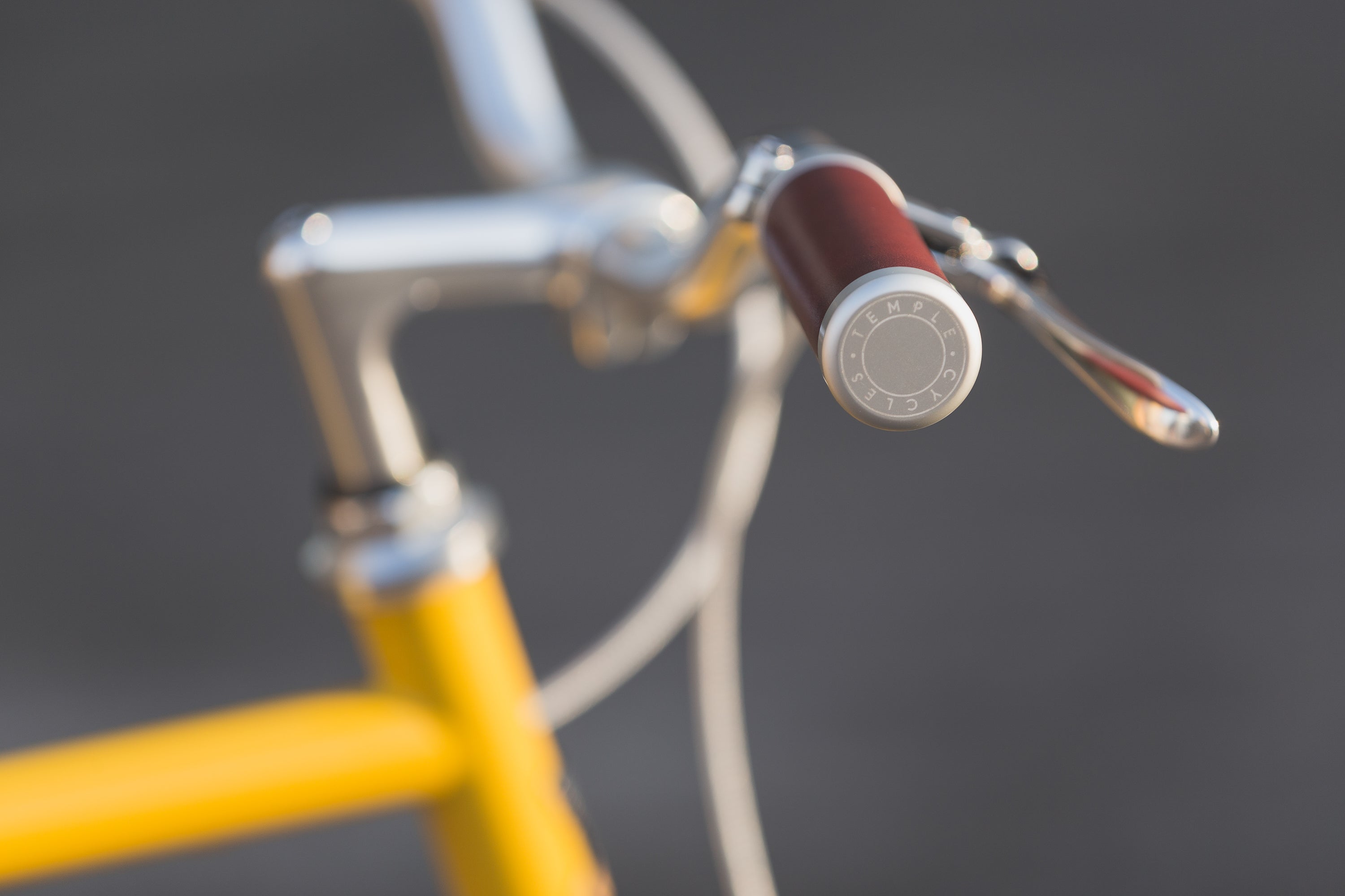 Laser-engraved Temple handlebars on a lightweight steel commuter bike.