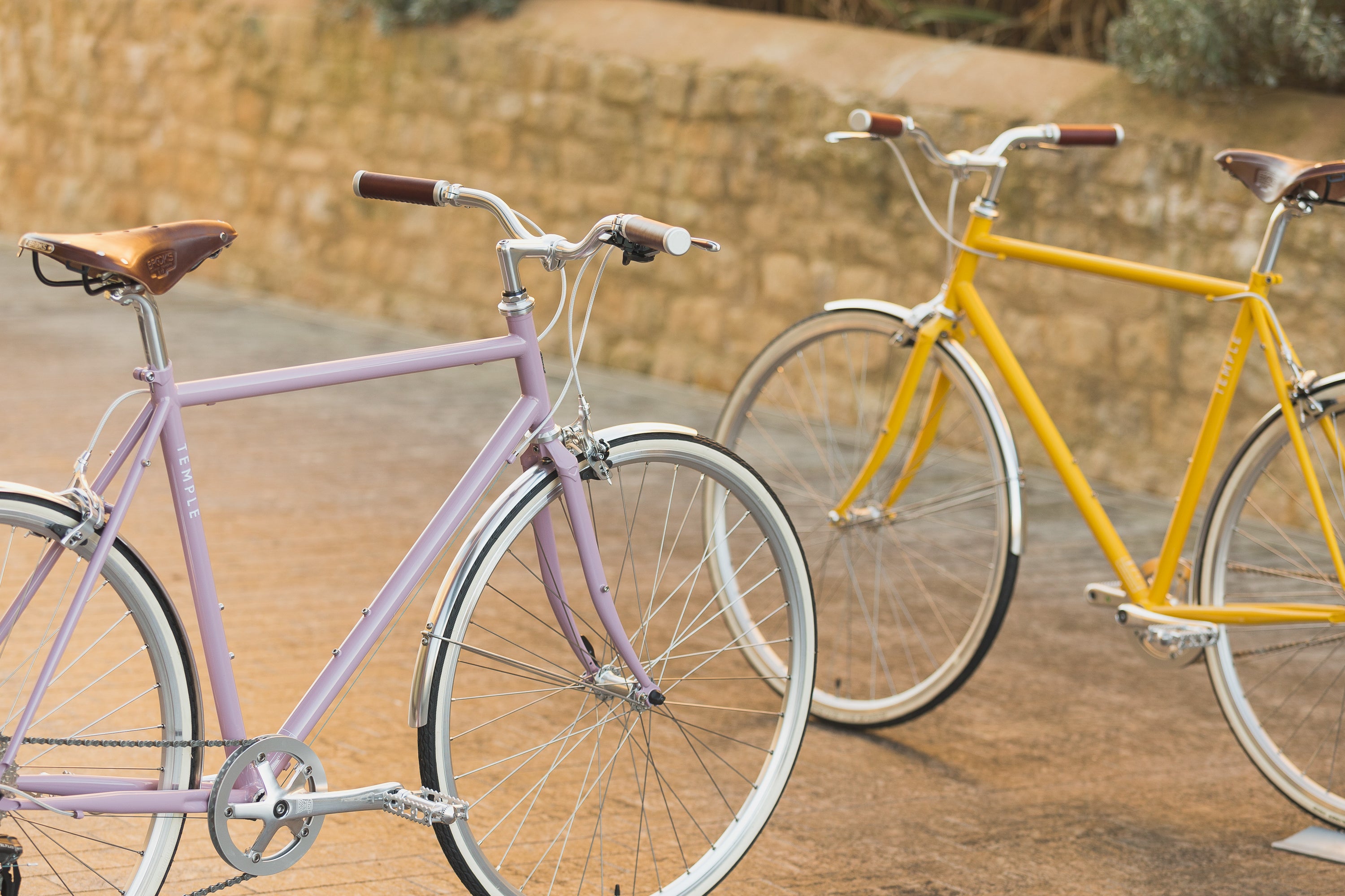 Two classic lightweight steel bikes, rural setting.