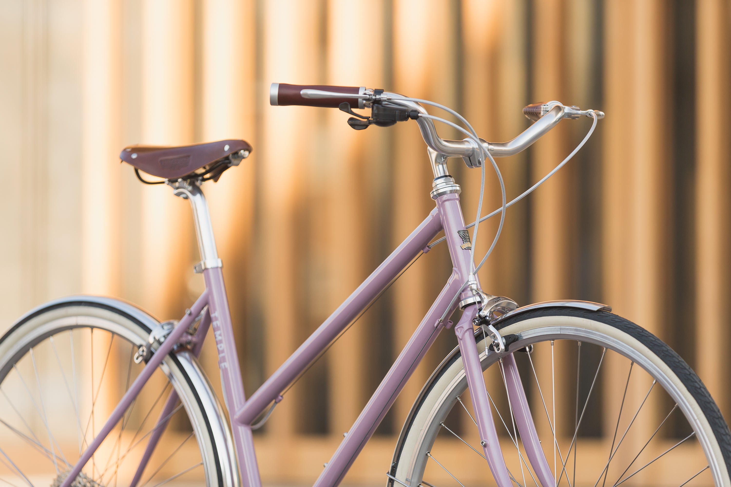 Step Through steel-framed bicycle, urban setting.