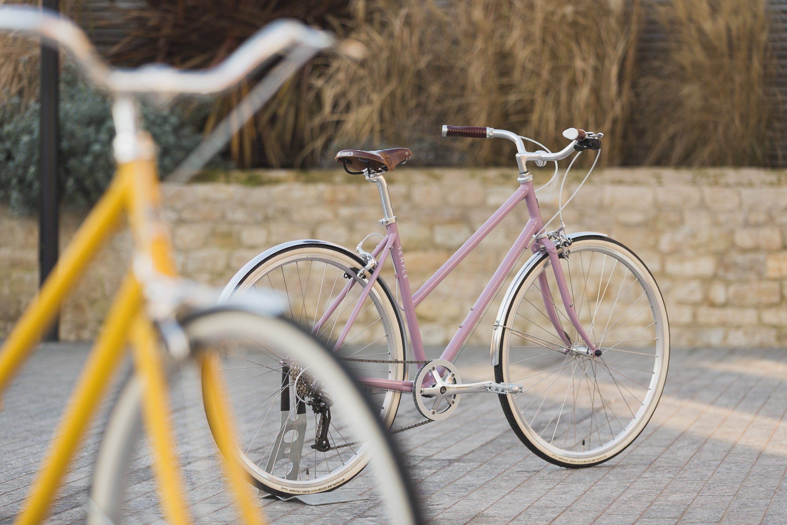 Two Temple Step Through steel hybrid  bikes, rural setting.