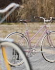 Two Temple Step Through steel hybrid bikes, rural setting.
