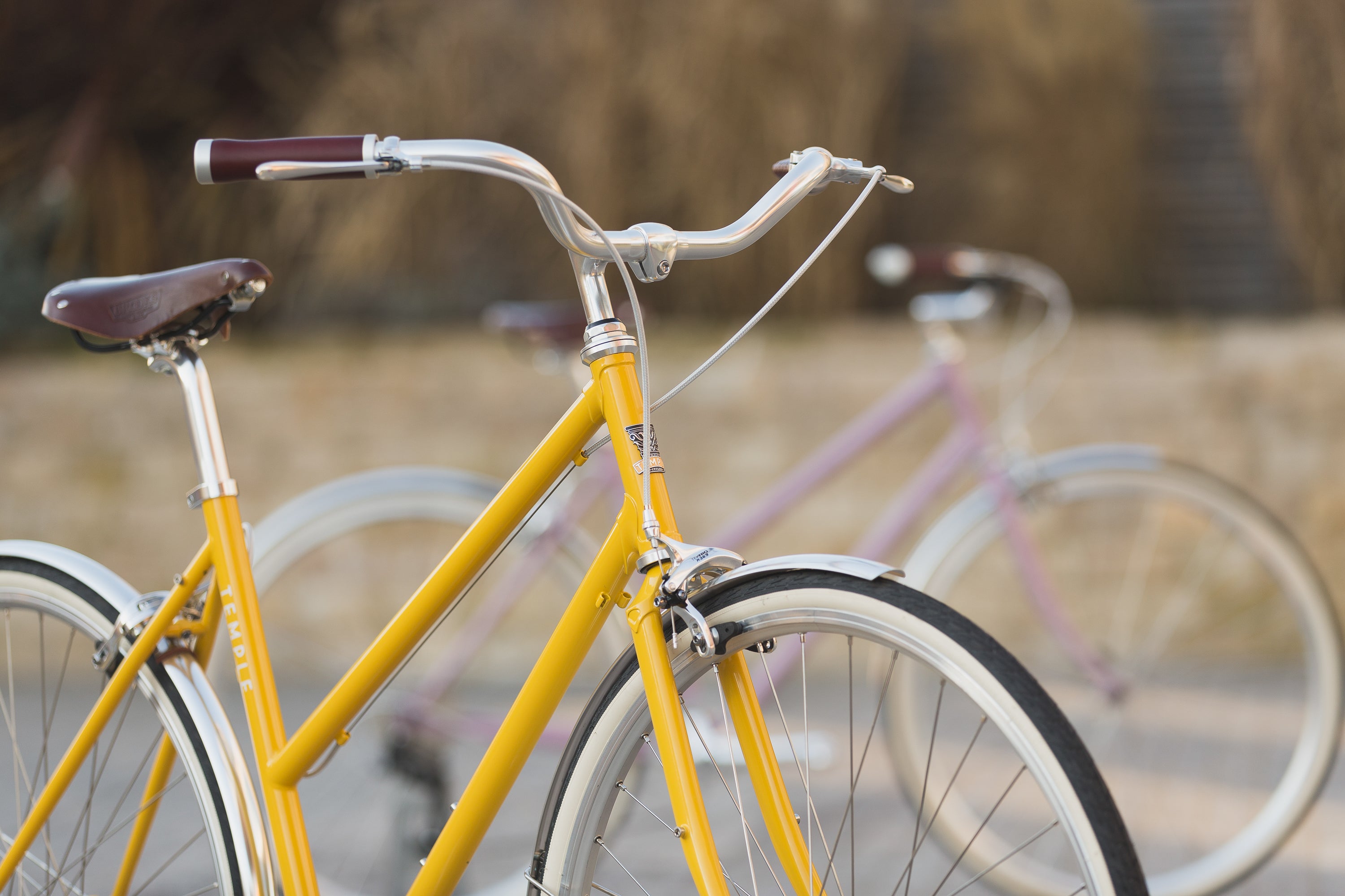 Step Through Lightweight steel bicycle, rural setting.