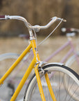 Step Through Lightweight steel bicycle, rural setting.