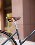 Brooks ultra-comfortable leather bicycle seat on a Step Through electric bike.