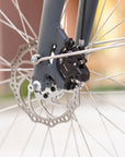 Shimano disc brake system on an ultra-comfortable electric bike.