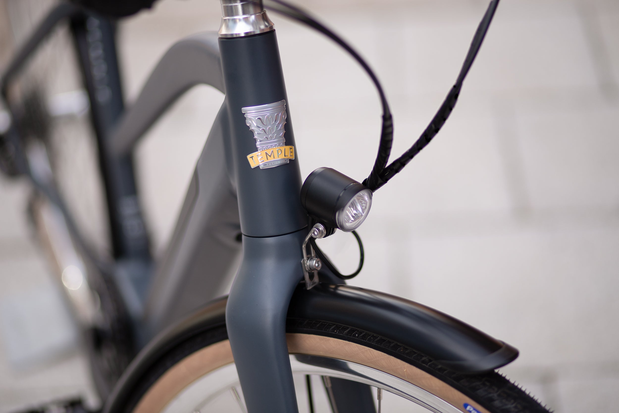 Temple hand-crafted head badge and bicycle torch on front wheel of a versatile electric bike.