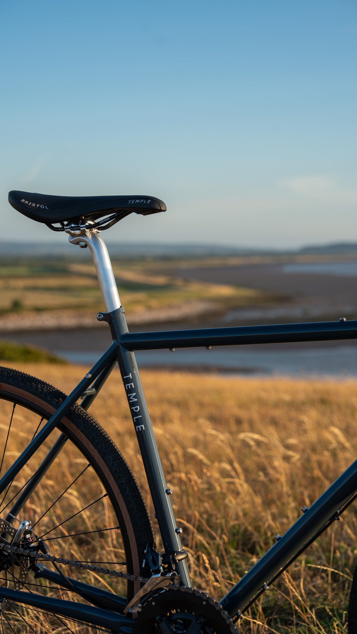 Bicycle frame with 'Temple' branding against a blurred natural background