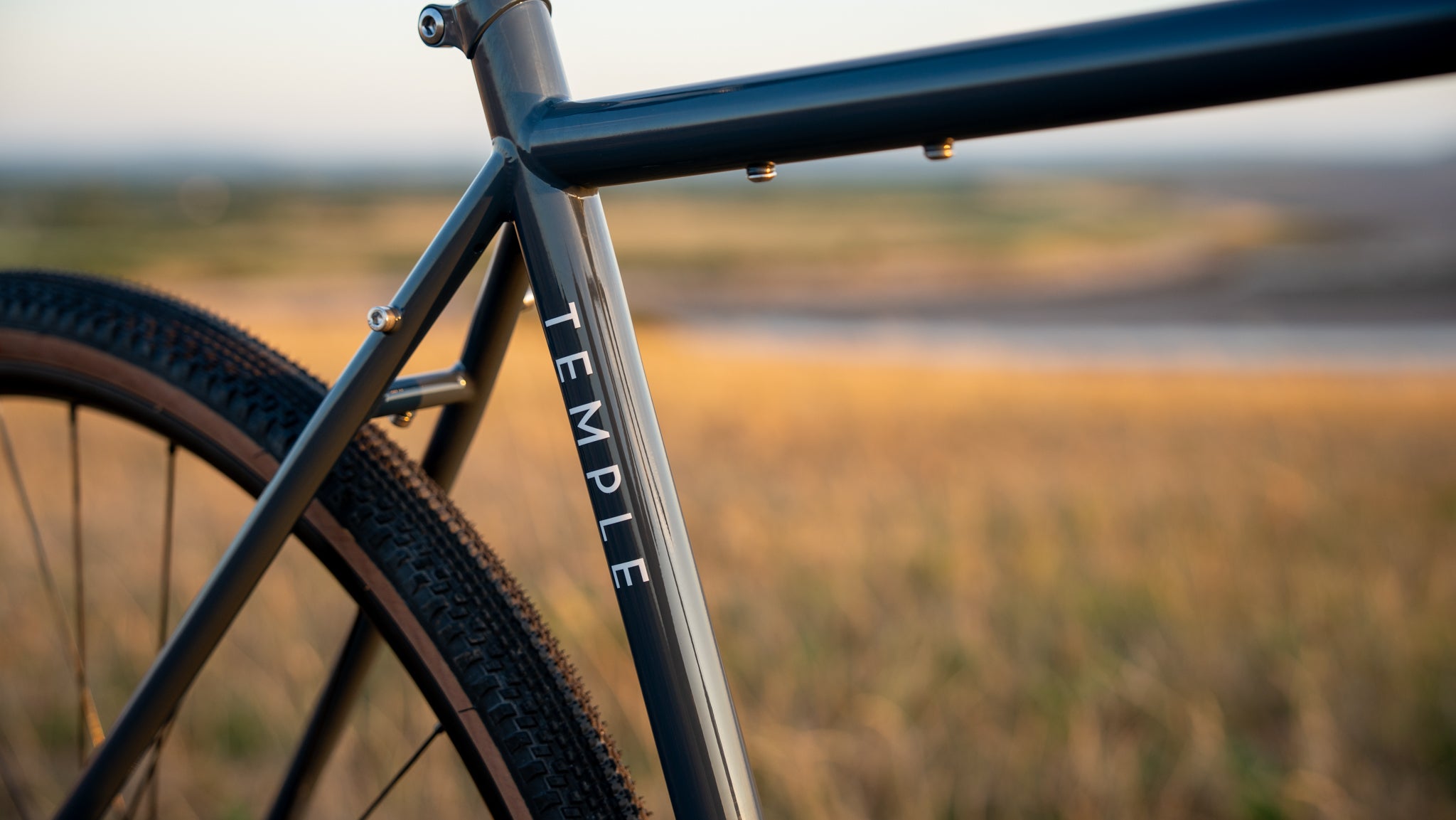 Bicycle frame with 'Temple' branding against a blurred natural background