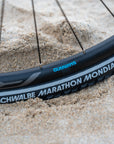 Adventure Disc Tour