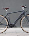 Versatile minimalist electric bike, urban setting.