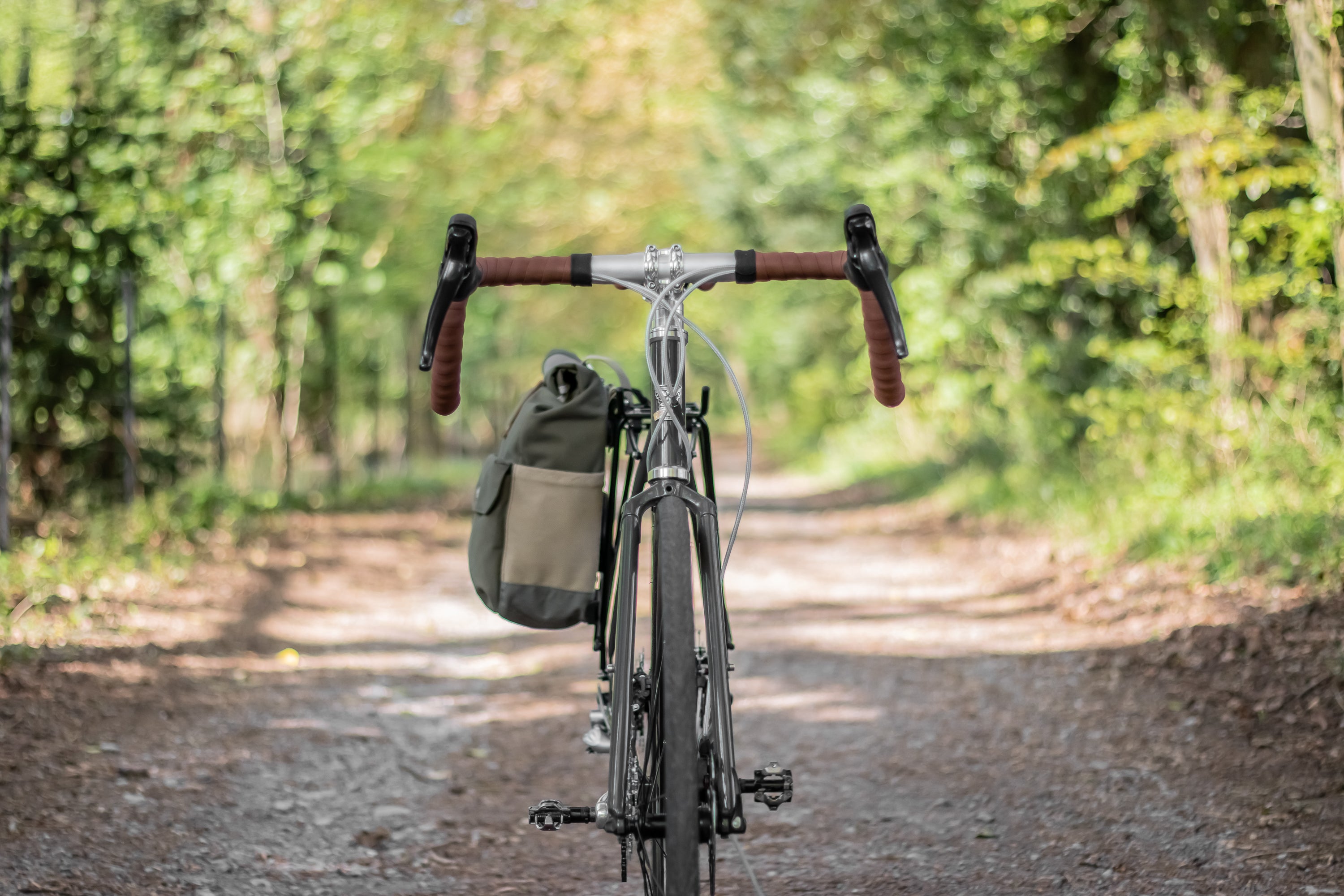 Rear view of a lightweight adventure road bike with green pannier backpack attached.