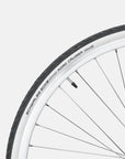 Schwalbe Road Cruiser